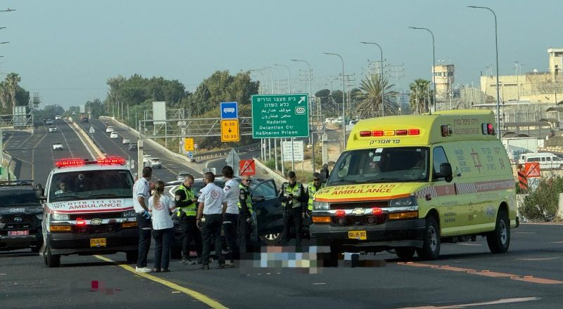 مصرع راكب دراجة هوائية بحادث دهس قرب مفرق هدريم