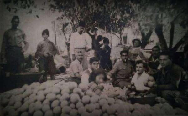 صورة نادرة من داخل بيارة عائلة شنير في حي أبو كبير بمدينة يافا تعود لثلاثينيات القرن الماضي