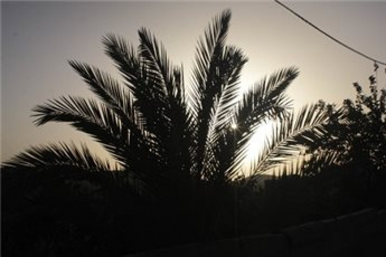 الطقس: أجواء غائمة ومغبرة نسبيا