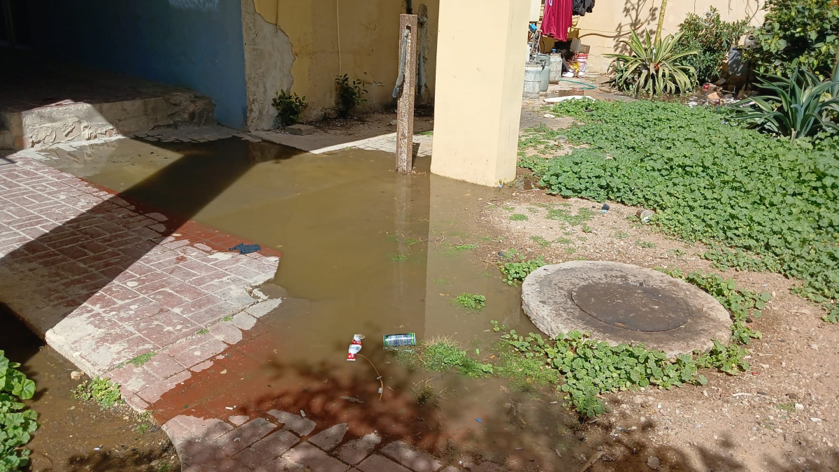 سكان شيكونات العرب بيافا يشتكون من فيضان مياه الصرف الصح...