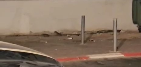 الجرذان في شوارع اللد تثير غضب المواطنين والمطالبة بتحرك عاجل