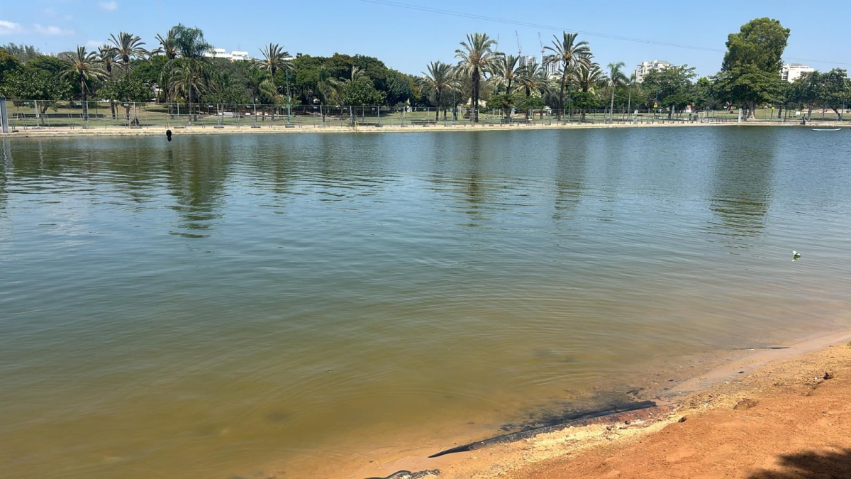 تل ابيب: العثور على الطفل الذي دخل بحيرة في متنزه