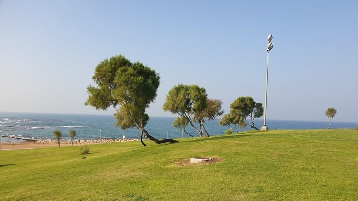 الطقس: أجواء خريفية باردة وأمطار متفرقة حتى الخميس المقب...