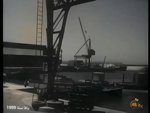 أيام نكبة| فيديو نادر جداً يوثق ميناء يافا وحياة المدينة عام 1959