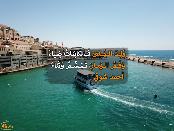 في ذكرى المولد النبوي .. استمع لقصيدة "وُلد الهُدى فالكائناتُ ضياءُ" للشاعر أحمد شوقي