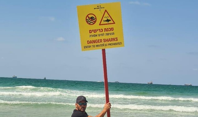 بعد تأكيد مشاهدة سمكة القرش.. بلدية أشدود تعلن رسميا عن اغلاق كل شواطئ المدينة 