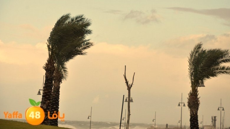 أسبوع مُغبر- موجة غبار غدا وموجة غبار قوية الأربعاء