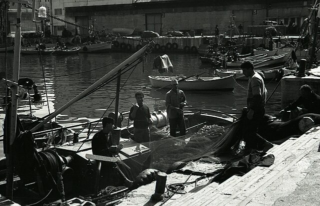 صور نادرة لميناء يافا عام 1966 تكشف جانباً من حياة العمّال والصيادين