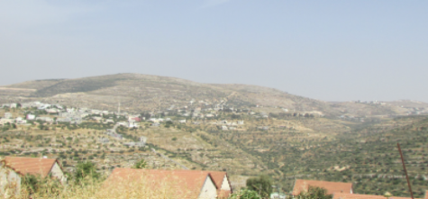 "التعاون الإسلامي" تدين خطة بناء 22 مستوطنة جديدة في الأرض الفلسطينية