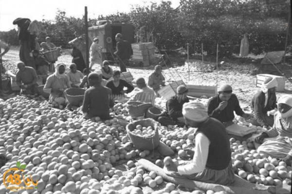 فيديو نادر وملوّن من عام 1940 يوثق سوق العمل في تصدير ال...
