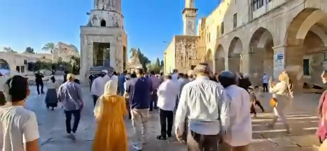 2300 مستوطن يقتحمون المسجد الأقصى وسط تشديد القيود على المصلين