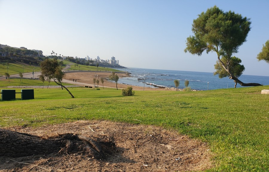 الطقس: أجواء حارة حتى الأربعاء