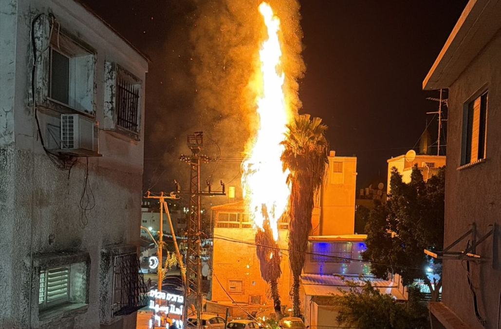 بالفيديو: احتراق شجرة في مدينة اللد والاطفائية تهرع للمكان