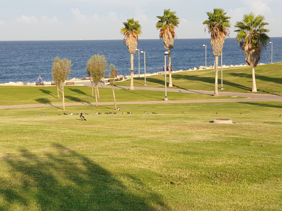 موجة حرّ شديدة تضرب البلاد ودرجات الحرارة تلامس 47 درجة في غور الأردن