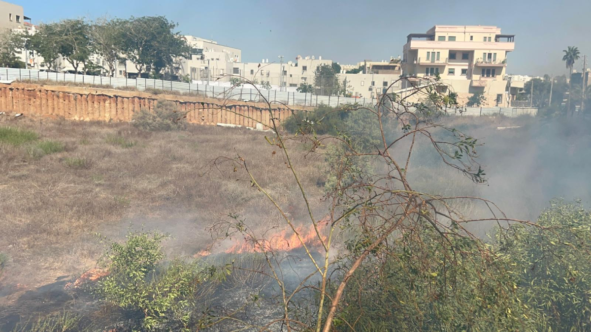 يافا : حريق حرش وطواقم الإطفاء تهرع للمكان 