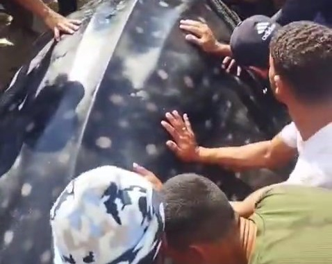 اصطياد سمكة ضخمة بطول 10 أمتار قبالة شاطئ خان يونس!