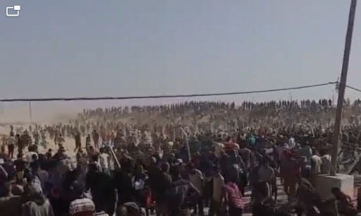  169 منظمة إغاثية تطالب بوقف آلية عمل "مؤسسة غزة الإنسانية"