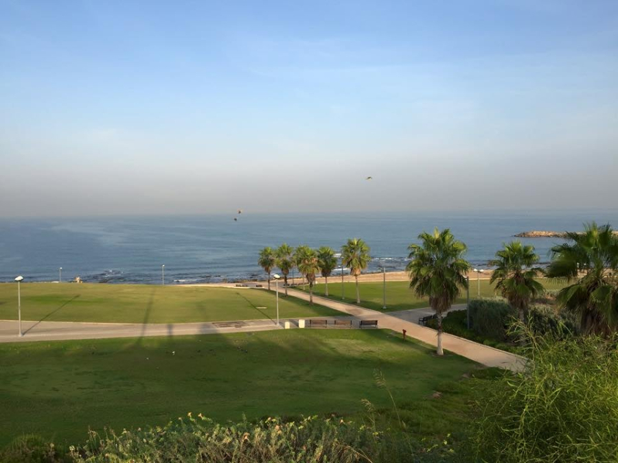 الطقس: موجة حر تضرب البلاد