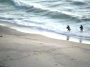 فيديو يظهر اقتحام عناصر الكوماندوز البحري التابع لحماس شاطئ زيكيم