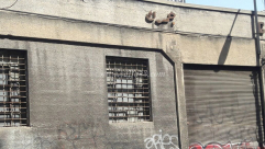  فيديو: ساعدنا على توثيق معلومات حول مبنى الجمارك وسط تل ابيب