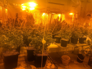  الشرطة: العثور على مختبرات لاعداد السموم في يافا وحولون واعتقال مشتبهين