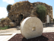 مجزرة قرية يازور الساحلية قضاء يافا - مشهد يلخص النكبة وحجم الكارثة