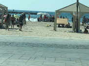 مصرع رجل اثر تعرضه لحادث غرق قرب يافا 