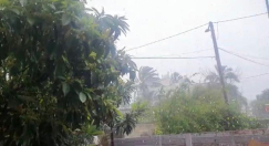 فيديو: تساقط غزير للأمطار على مدينة اللّد صباح اليوم