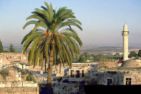 فيلم "الرملة مدينتي" للبنى دجاني: مواسم للأنبياء وتأريخ للعسف والهجرة