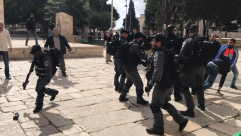 فيديو: اشتباكات عنيفة بالايدي بين الشرطة وحراس الاقصى المبارك