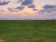 شاهد: لحظات ساحرة مع غروب شمس يافا