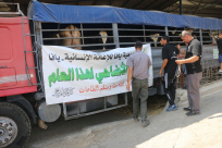  فيديو: بقيمة ربع مليون شيكل - انطلاق المرحلة الأولى من مشروع الأضاحي بيافا لهذا العام