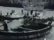  أيام نكبة| فيديو - مقطع نادر جداً لحركة الملاحة في ميناء يافا عام 1930 
