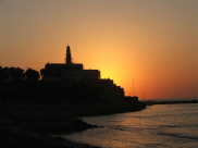 احكيها باليافاوي: كلمات يافاوية الأصل - بقلم: محمود عبيد 