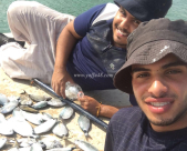  بالصور: هواية واحتراف - الشابان سعيد بني ورأفت مفلح يصطادان عشرات الأسماك بالصنّارة 