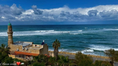 الطقس: أجواء ربيعية معتدلة