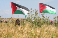 اليوم: الجماهير العربية تحيي الذكرى الـ42 ليوم الأرض بمسيرة مركزية في عرابة