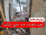 معلومات هامة .. كيف تتصرّف عند وقوع زلزال؟! 