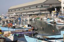 تأجيل جلسة الصيادين في ميناء يافا بسبب سوء الأحوال الجوية 
