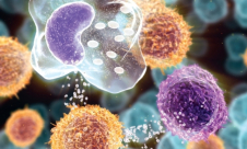 اكتشاف يمهد لعلاج جميع أنواع السرطان