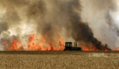 الثلاثاء.. 15 حريقًا بـ”غلاف غزة” بفعل البالونات والطائرات الحارقة