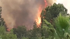 فيديو: حريق كبير في موديعين شرق مدينة اللد وسلطة الاطفاء تُخلي المنطقة 