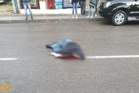  فيديو: اصابة خطرة لشخص بحادث دهس في يافا 