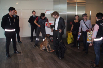 ردا على إجراء مماثل.. الأمن التركي في مطار أتاتورك يفتش مواطني النمسا بالكلاب