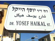 هل تعرف من هو الدكتور يوسف هيكل ؟! 