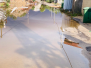 فيديو: الأحياء العربية في اللد محاصرة بالمستنقعات جراء مياه الأمطار