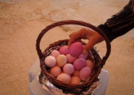 بالفيديو - السعودية: حرارة الطقس تسلق البيض!