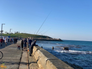 الطقس: ارتفاع على درجات الحرارة