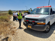 مصرع راكب دراجة هوائية جراء حادث طرق قرب موديعين