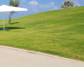 لأول مرة: متنزه أخضر وبحيرة صناعية في اللد 